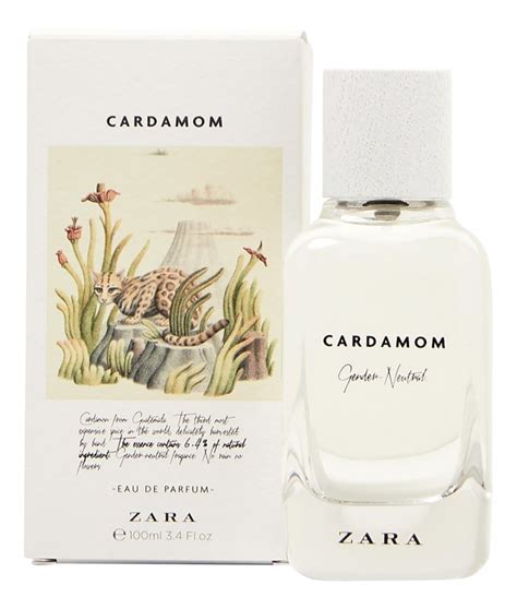 zara perfume under $ 36.